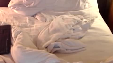 st8llion online show from 01.11.25