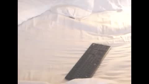 st8llion online show from 11.08.25