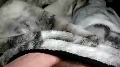 Snapshot of stargazor chatting on 12.20.24 stargazor online show from 12.20.24