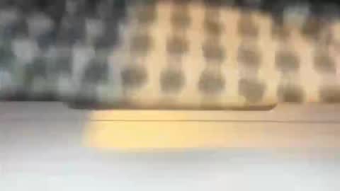 stcolster online show from 03.07.26