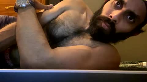 Lobo del Antiguo Oriente online show from 04.22.26