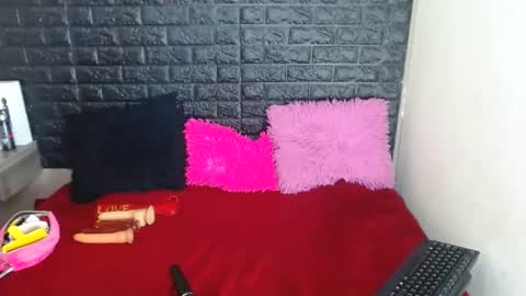 Snapshot of stefanvix202 chatting on 12.15.24 Stefan online show from 12.15.24