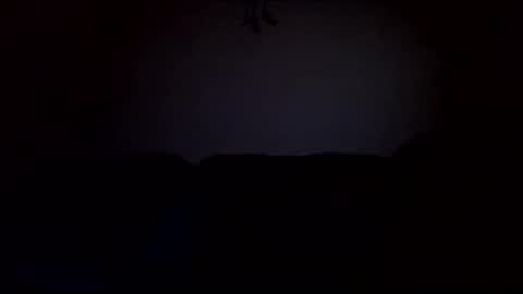 stefy1037 online show from 02.19.25