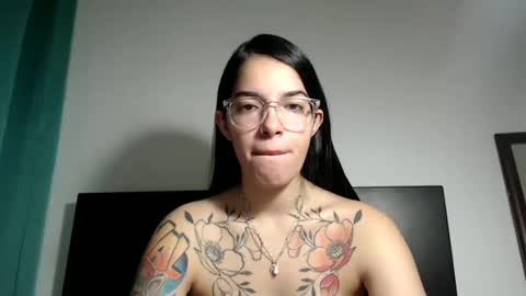 Snapshot of stella_art chatting on 01.14.25 Stella online show from 01.14.25