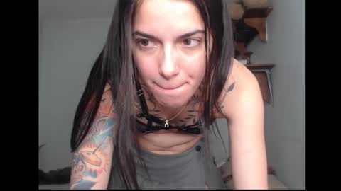 Snapshot of stella_art chatting on 02.17.26 Stella online show from 02.17.26