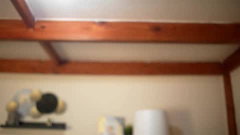 Stella online show from 02.22.26