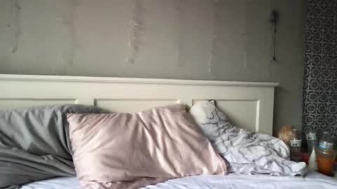 Snapshot of stelladams chatting on 03.04.26 stelladams online show from 03.04.26