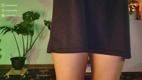 stellart_ online show from 12.05.25