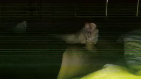 Steve online show from 02.27.26