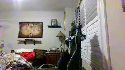 steveross33 online show from 03.20.26