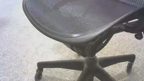 stl hammer online show from 11.06.25