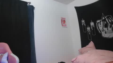 Snapshot of stoned2dabones666 chatting on 02.14.25 Haily online show from 02.14.25