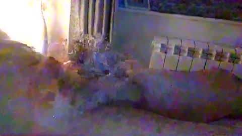 str8guy2015 online show from 01.24.25