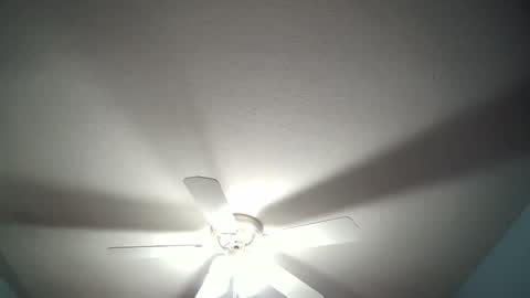 Snapshot of str8whiteboy21 chatting on 12.19.24 str8whiteboy21 online show from 12.19.24