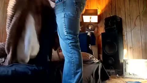 straighttoy online show from 11.11.25