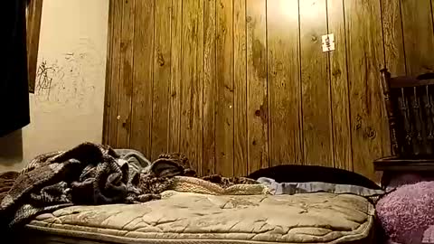 straighttoy online show from 11.14.25