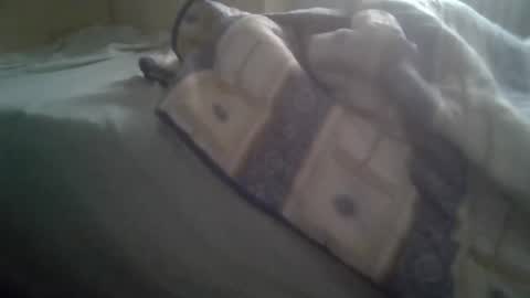 Snapshot of stransugo chatting on 03.05.26 Tony online show from 03.05.26