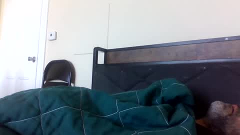 Snapshot of strictdaddy13 chatting on 02.21.25 strictdaddy13 online show from 02.21.25