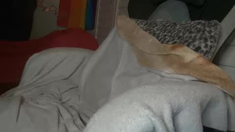 Dong Stroker online show from 03.18.26