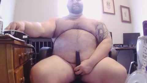 strong_bear89 online show from 02.05.26