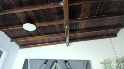 Alexa   online show from 04.07.26