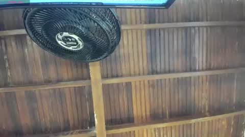 Alexa   online show from 08.01.26