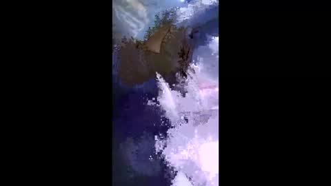 Snapshot of stuffamuffagus69 chatting on 05.17.26 stuffamuffagus69 online show from 05.17.26