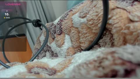 stupid little kitten online show from 01.10.25