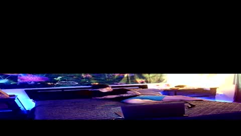 Snapshot of sty57039 chatting on 03.02.26 Stycock88 online show from 03.02.26