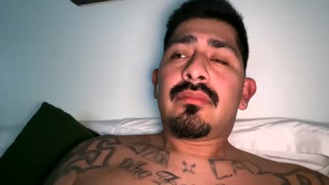 stylezg805 online show from 10.04.25