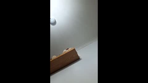 sub199958 online show from 12.21.25