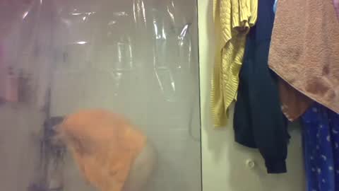 sub4you69brat online show from 12.20.25