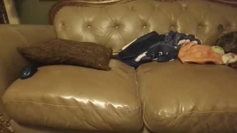 sub_michael41 online show from 01.21.25