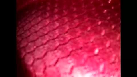 suck_me810555 online show from 10.19.25