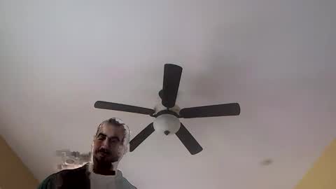 Sugar online show from 02.24.26