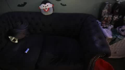 Sugary online show from 02.14.25