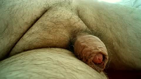 Samenspender online show from 10.28.25