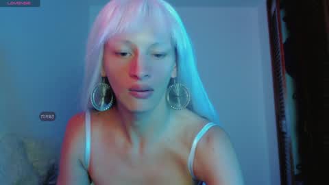 Summer online show from 01.01.25