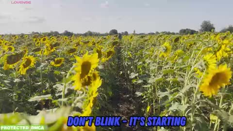 Snapshot of sunflower0907 chatting on 10.30.25 Tina. Im topless model online show from 10.30.25