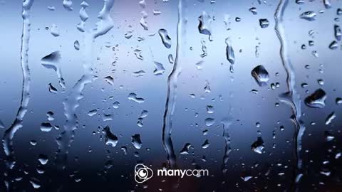 sven online show from 02.06.26