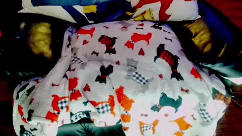 Snapshot of sunnymarcie chatting on 02.03.25 Sunny Marcie online show from 02.03.25