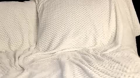 Snapshot of sunshine_days chatting on 03.12.25 Annie online show from 03.12.25