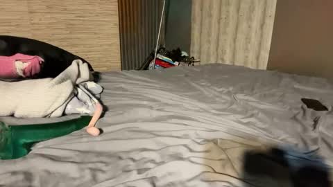 Stony online show from 01.08.26