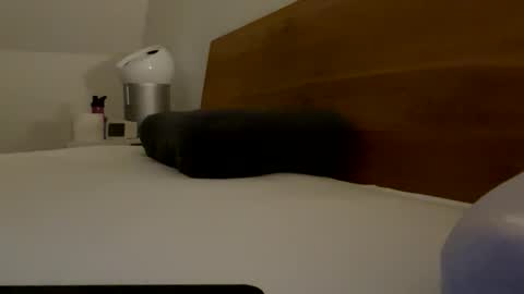 Snapshot of surfstar81 chatting on 03.20.26 surfstar81 online show from 03.20.26