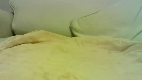 Peter online show from 01.10.26