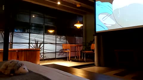 svenseries online show from 02.19.25