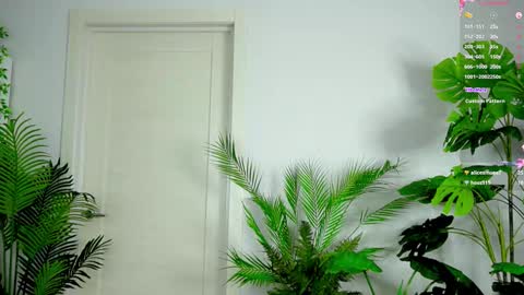 Alice online show from 10.03.25