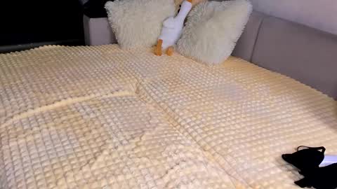 Snapshot of sweet_barbe chatting on 11.15.25 Alice online show from 11.15.25