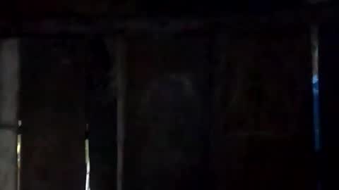 sweet_nessa30 online show from 02.10.26