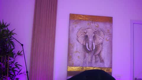 Lilly online show from 10.12.25